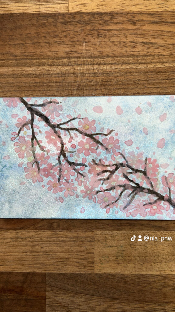 Cherry Blossoms