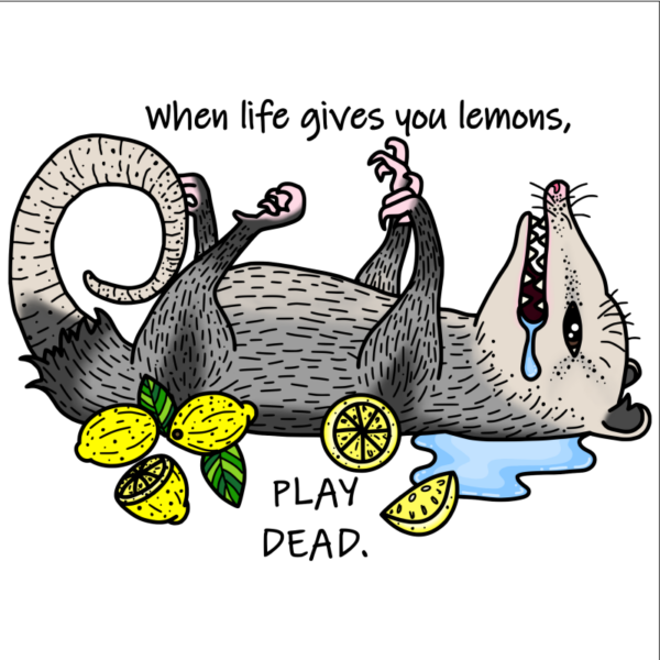 When life give you lemons, make lemonade. Dead Possum. Lemons. Lemonade. Giving up on life. Life is hard.